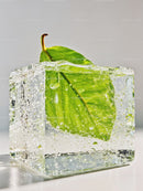 Fresh green leaf preserved inside clear ice cube