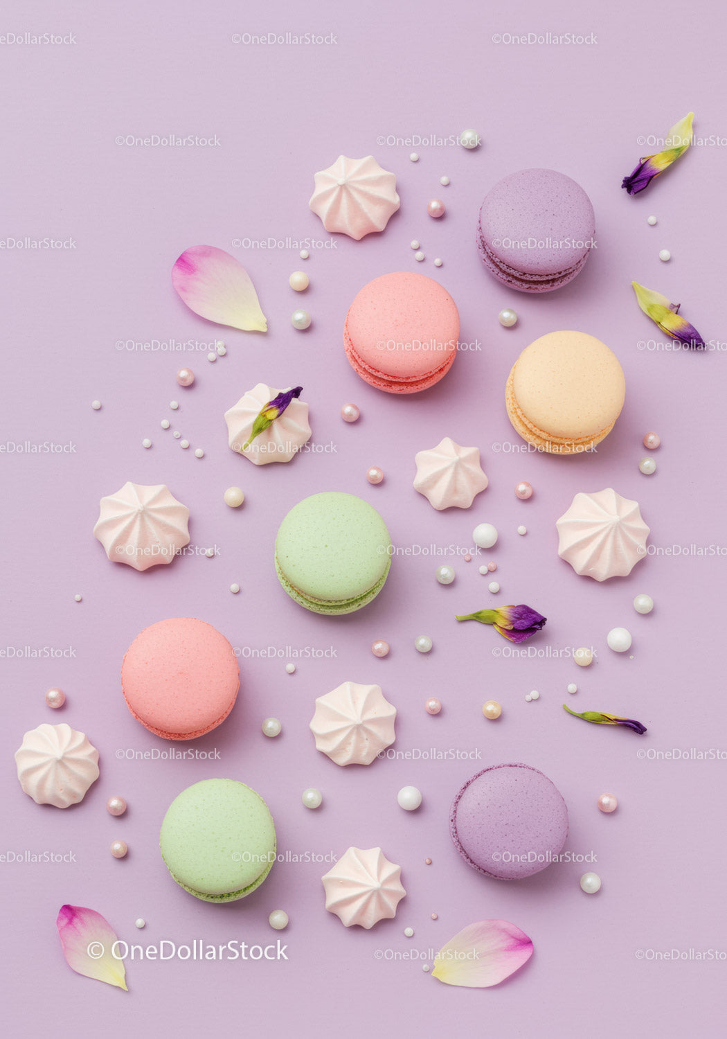 Assorted pastel macarons with meringues and flower petals