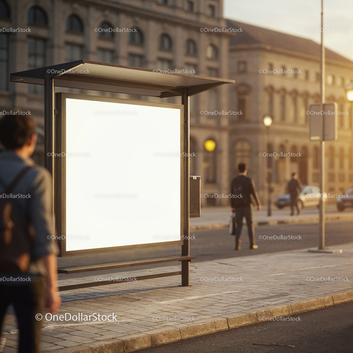 Empty Backlit Bus Stop Advertisement in Urban Street
