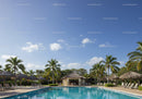 Tropical Resort with Swimming Pool Surrounded by Palm Trees and Cabanas