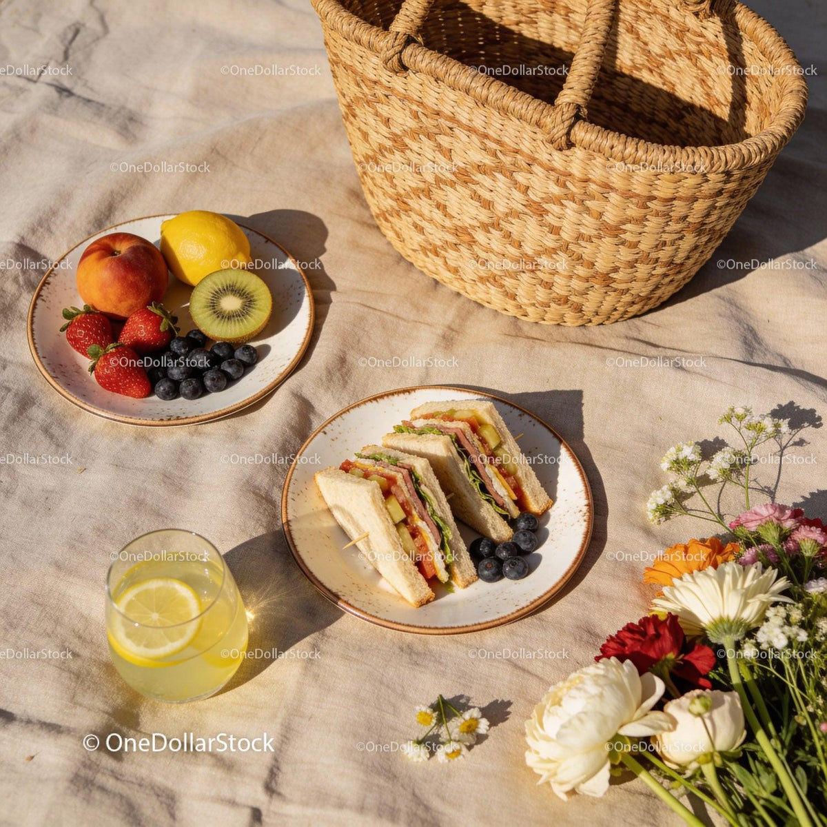 Fresh summer picnic with sandwiches and fruit plate