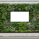 Urban green wall with blank white billboard space