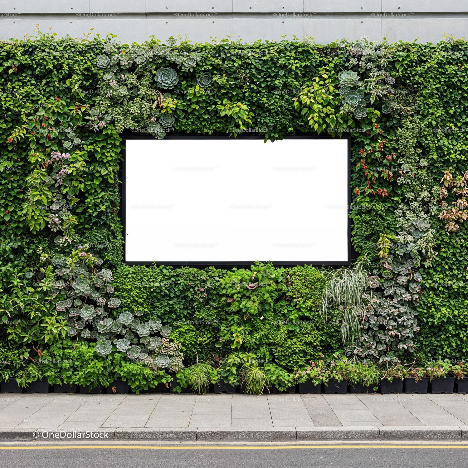 Urban green wall with blank white billboard space