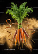 Fresh colorful carrots tied with ribbon on dark background