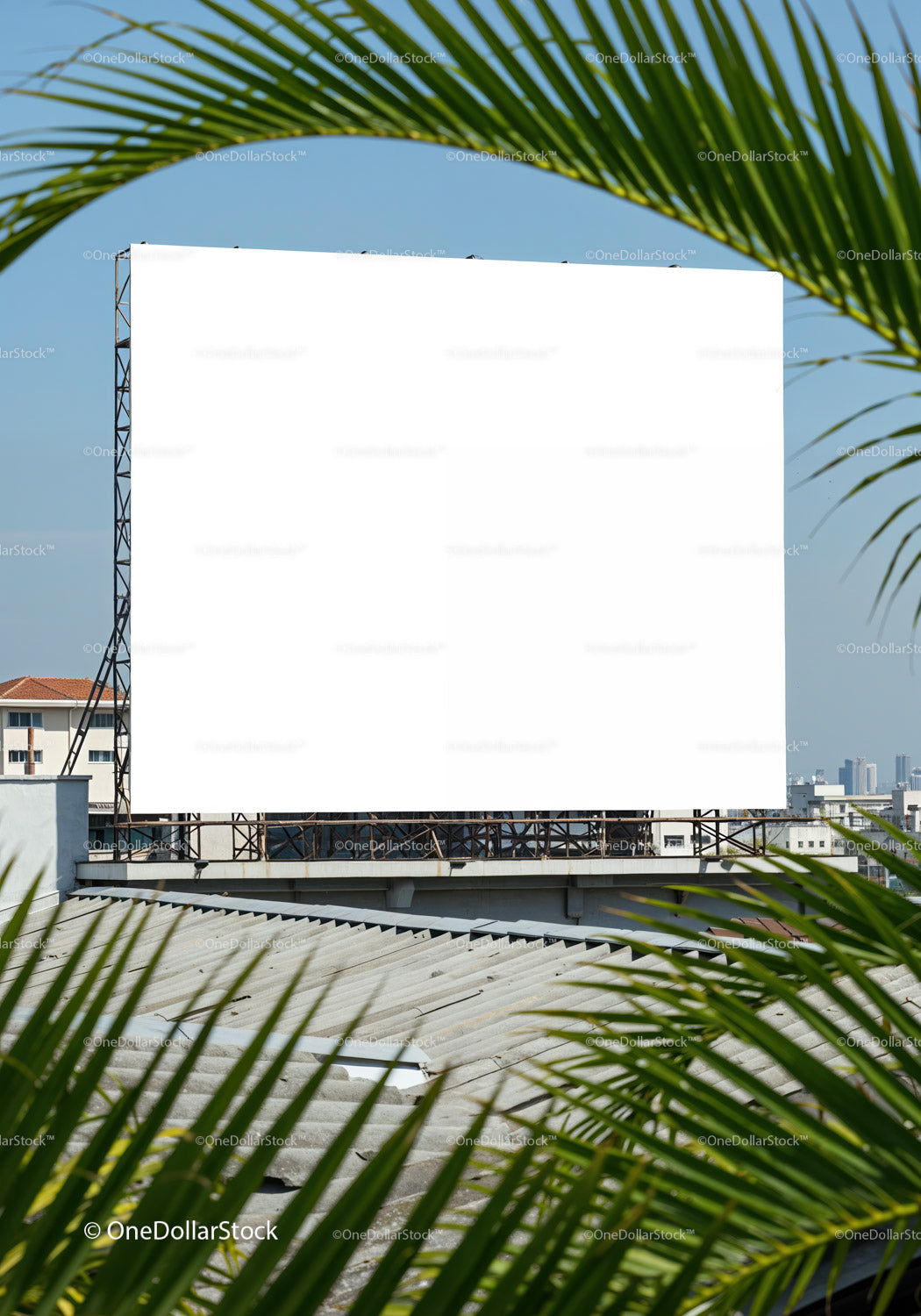 Blank billboard framed by tropical palm leaves on rooftop