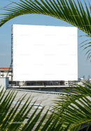 Blank billboard framed by tropical palm leaves on rooftop