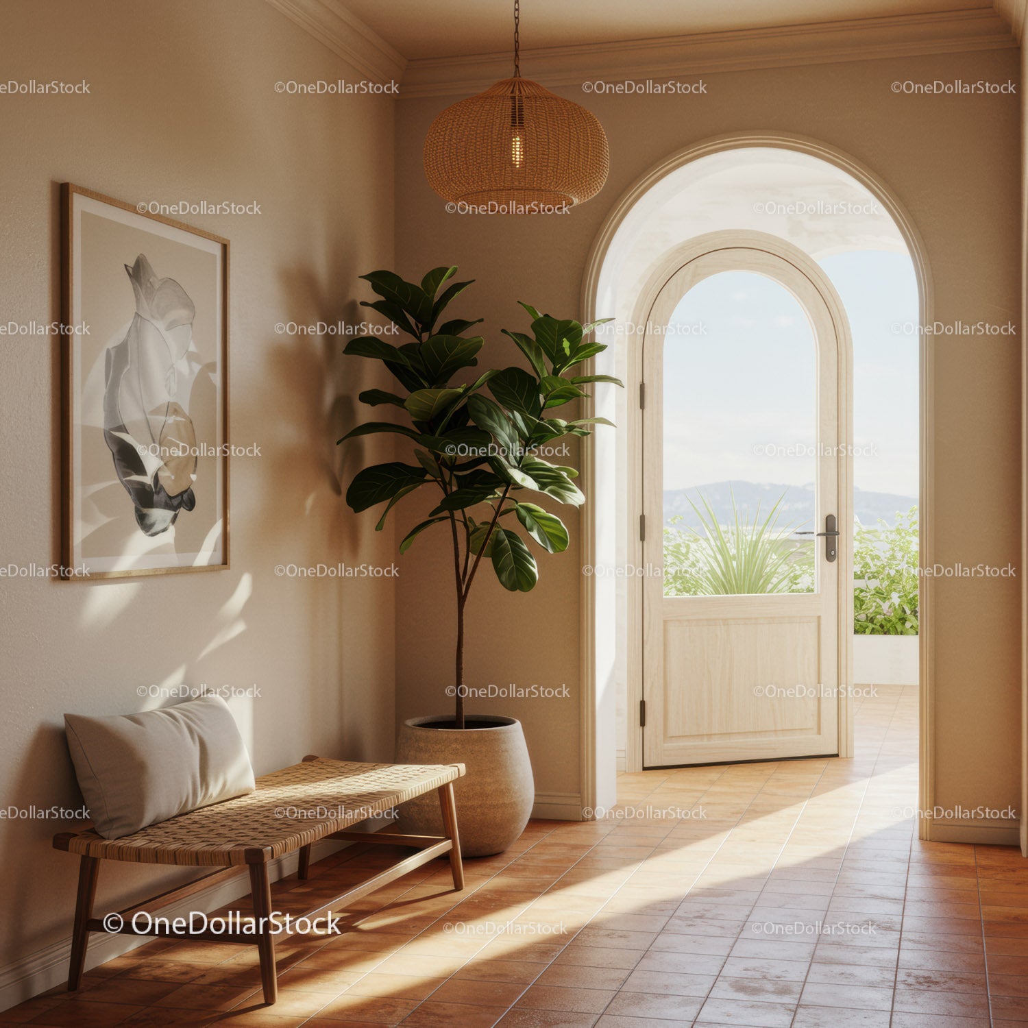 Cozy entryway with natural light and indoor plant