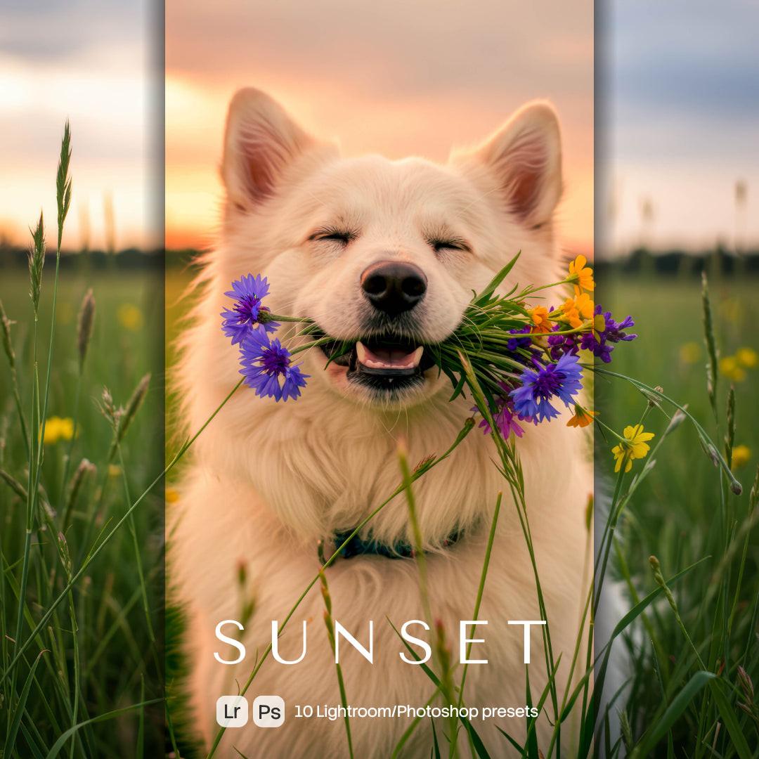 Sunset Presets (10 XMP files)