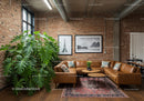 Stylish Modern Living Room with Leather Couch and Large Indoor Plant