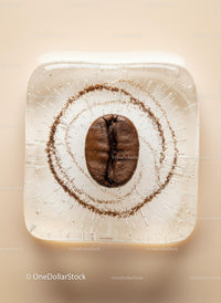 Single Coffee Bean Encased in Clear Ice Cube