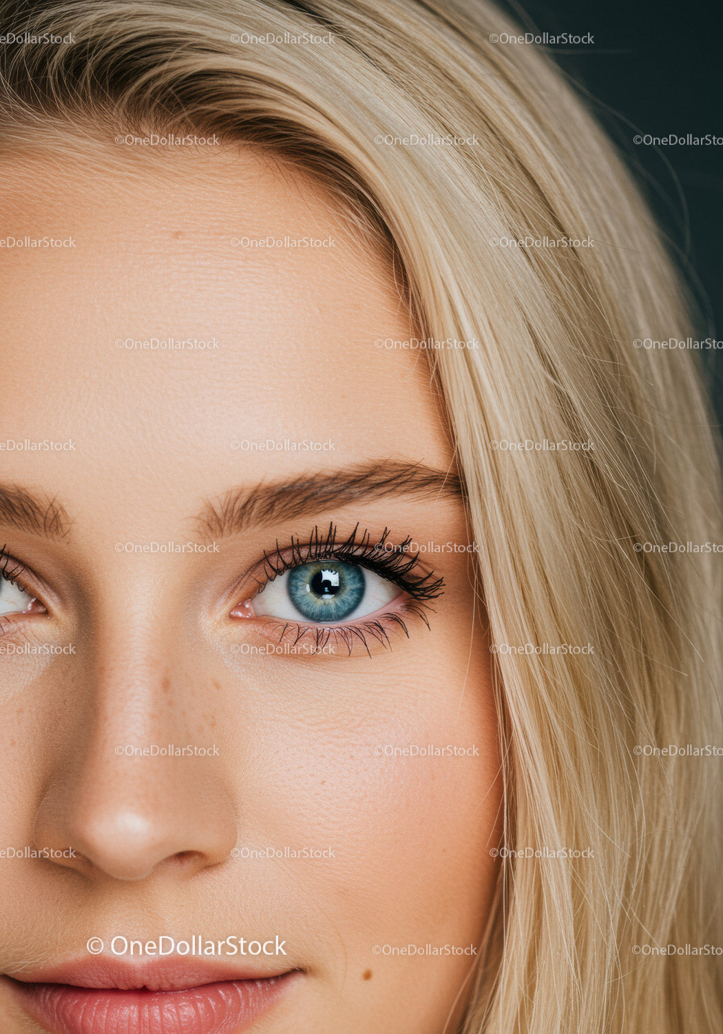 Close up of blue eye and blond hair woman face
