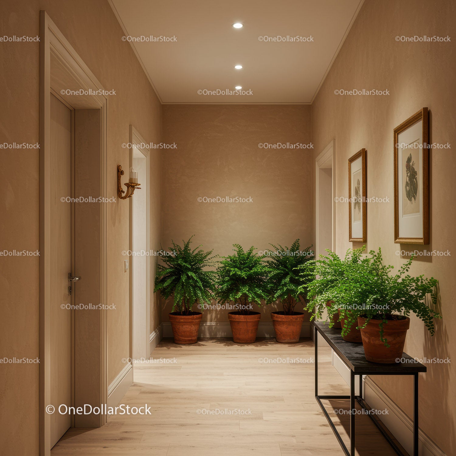 Elegant Interior Hallway with Green Potted Plants and Warm Beige Walls