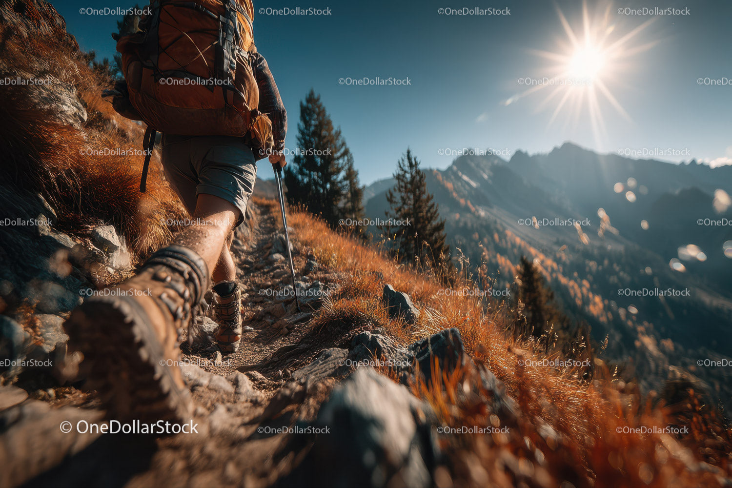 Mountain Trail with Hiker and Scenic Landscape Under Bright Sun