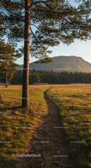 Scenic Mountain Forest with Pathway and Golden Sunset Light