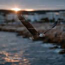 Majestic Bald Eagle in Flight Over Ocean at Sunset