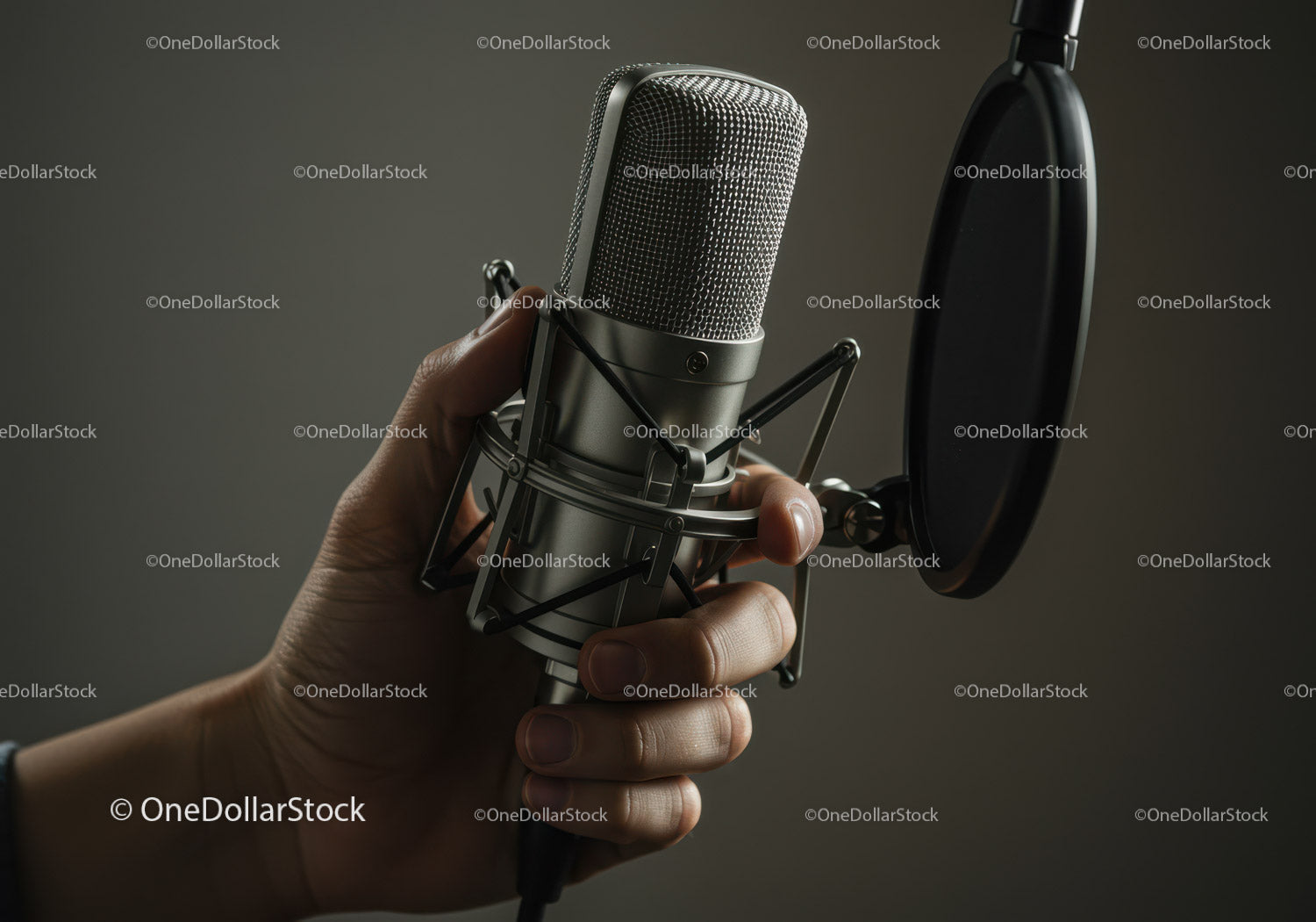 Professional Studio Microphone for Vocal Recording and Music Production