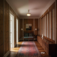 Before and after Vintage LUT Pack effect