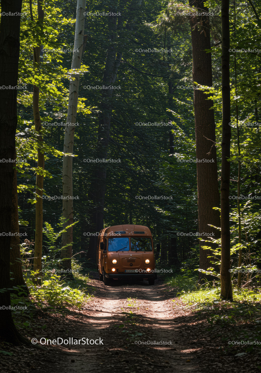 Vintage Van Driving Through Sunlit Forest Path