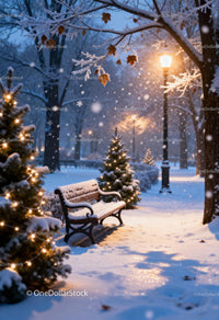 Snowy park bench with festive Christmas lights