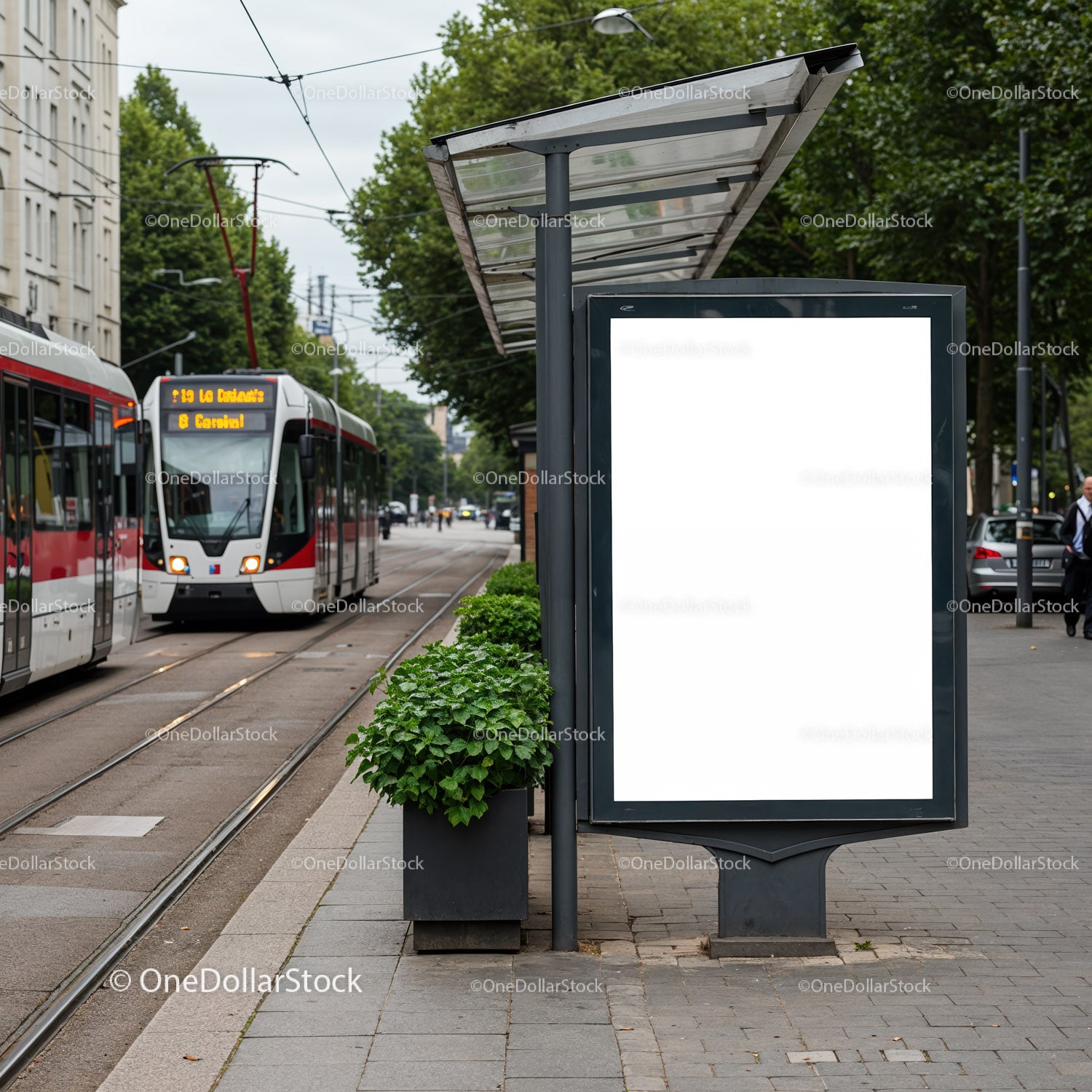 Urban tram stop with blank advertising board and greenery