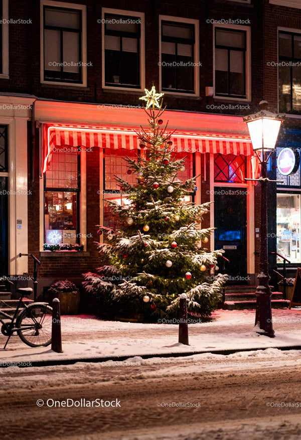 Snowy Christmas tree decorated on a quiet street
