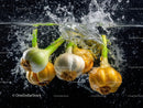 Fresh Garlic Bulbs and Yellow Onions Underwater Splash
