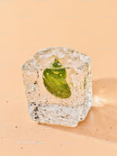 Fresh mint leaf encased in clear ice cube on beige