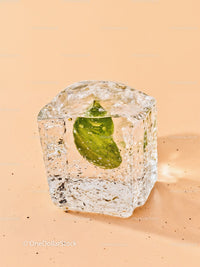 Fresh mint leaf encased in clear ice cube on beige