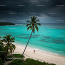 Serene Tropical Beach with Palm Tree and Turquoise Waters