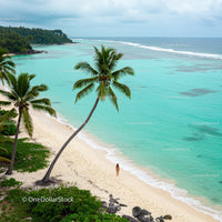 Lonely Traveler on a Tropical Beach Under a Palm Tree