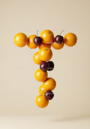 Creative Arrangement of Oranges and Cherries Forming Letter T