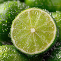 Close-up of Freshly Cut Lime with Juicy Interior