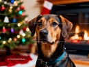 Calm dog by cozy fireplace with Christmas tree lights