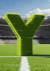 Green Grass Letter Y Standing on Football Field