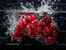 Fresh Red Currant Berries Splashing into Water in Dynamic Motion
