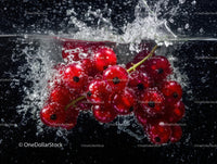 Fresh Red Currant Berries Splashing into Water in Dynamic Motion
