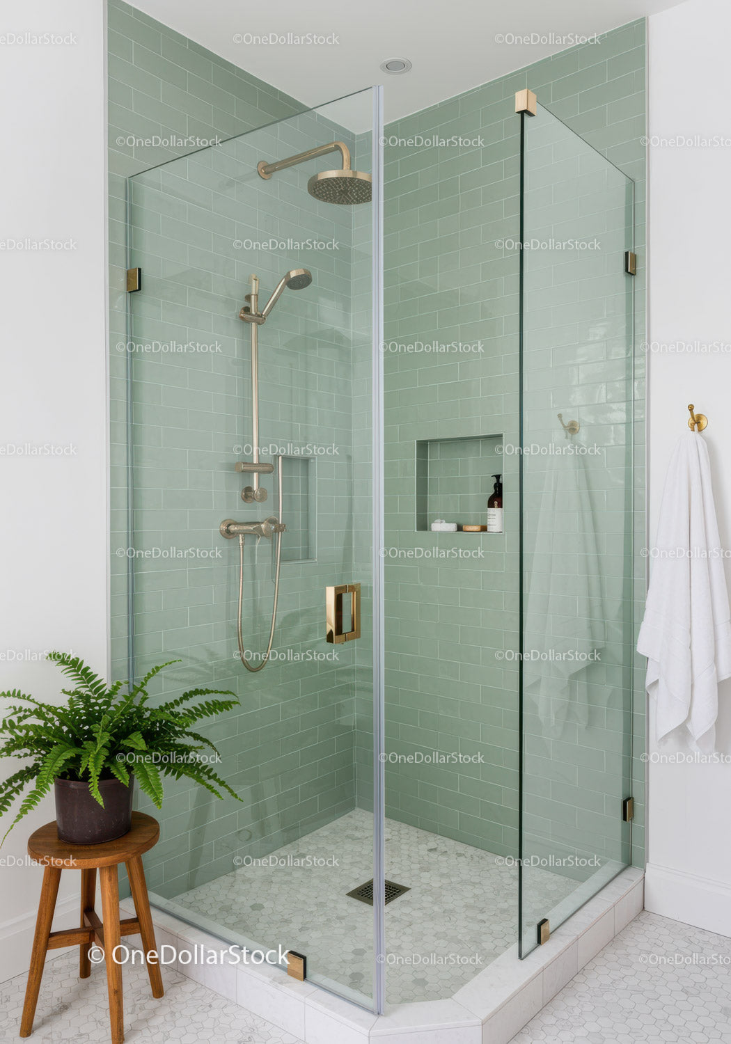 Minimalist glass shower with green subway tiles and brass fixtures