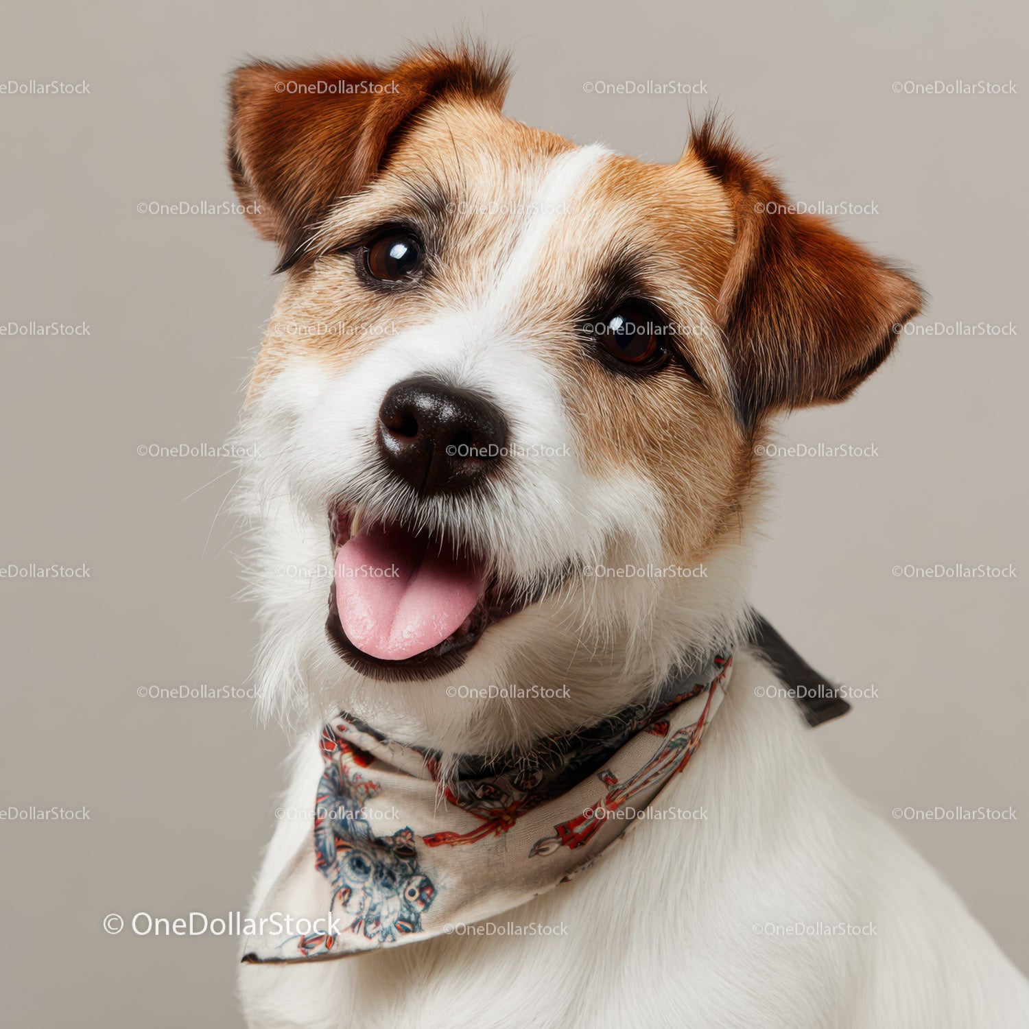 Adorable Jack Russell Terrier Puppy with Playful Expression