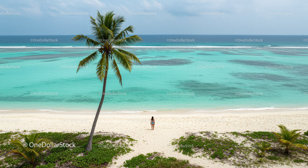 Lonely Traveler on a Tropical Beach Under a Palm Tree