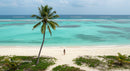 Lonely Traveler on a Tropical Beach Under a Palm Tree