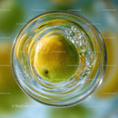 Fresh Lime in Sparkling Water Glass High-Resolution Macro