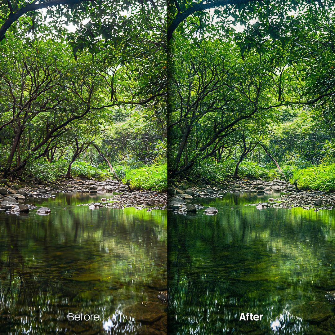 Cinematic Nature XMP presets color grading preview