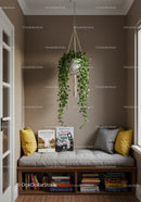 Indoor Hanging Plant in Cozy Reading Nook with Cushions and Books