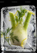 Fresh fennel bulb frozen inside a crystal clear ice block