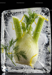Fresh fennel bulb frozen inside a crystal clear ice block