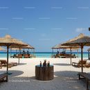 Beachside Lounge with Sun Umbrellas and Ocean View in Tropical Paradise