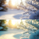 color grading preview with Serene Cold Atmosphere LUT Pack