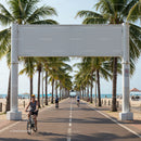Cyclists enjoying beachfront path lined with palm trees