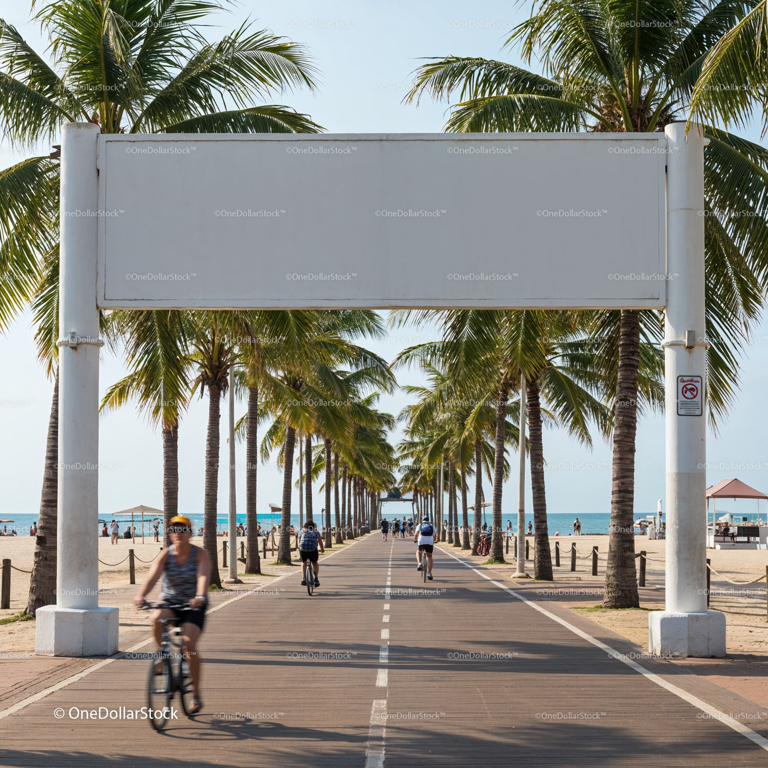 Cyclists enjoying beachfront path lined with palm trees
