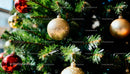 Closeup of colorful baubles on a green Christmas tree